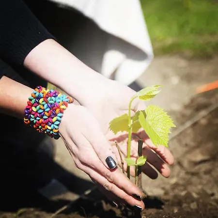 Luscher & Matiesen Muhu Winehouse Liiva (Saaremaa)