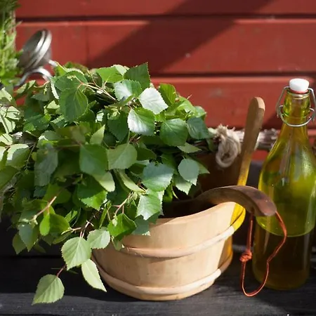 Luscher & Matiesen Muhu Winehouse فندق