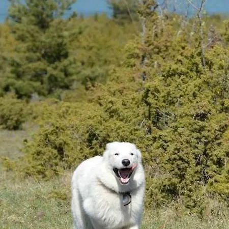 فندق Luscher & Matiesen Muhu Winehouse Liiva (Saaremaa)