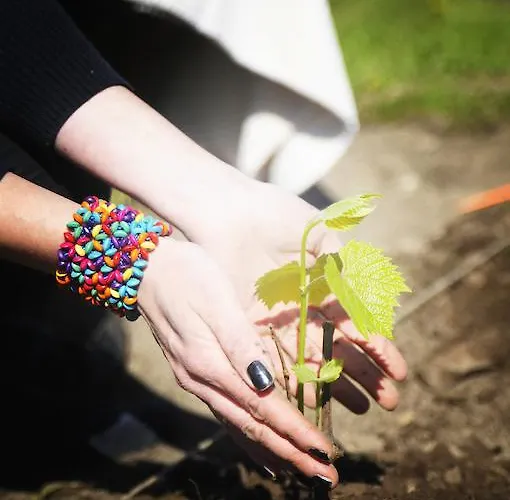 Luscher & Matiesen Muhu Winehouse Liiva (Saaremaa)